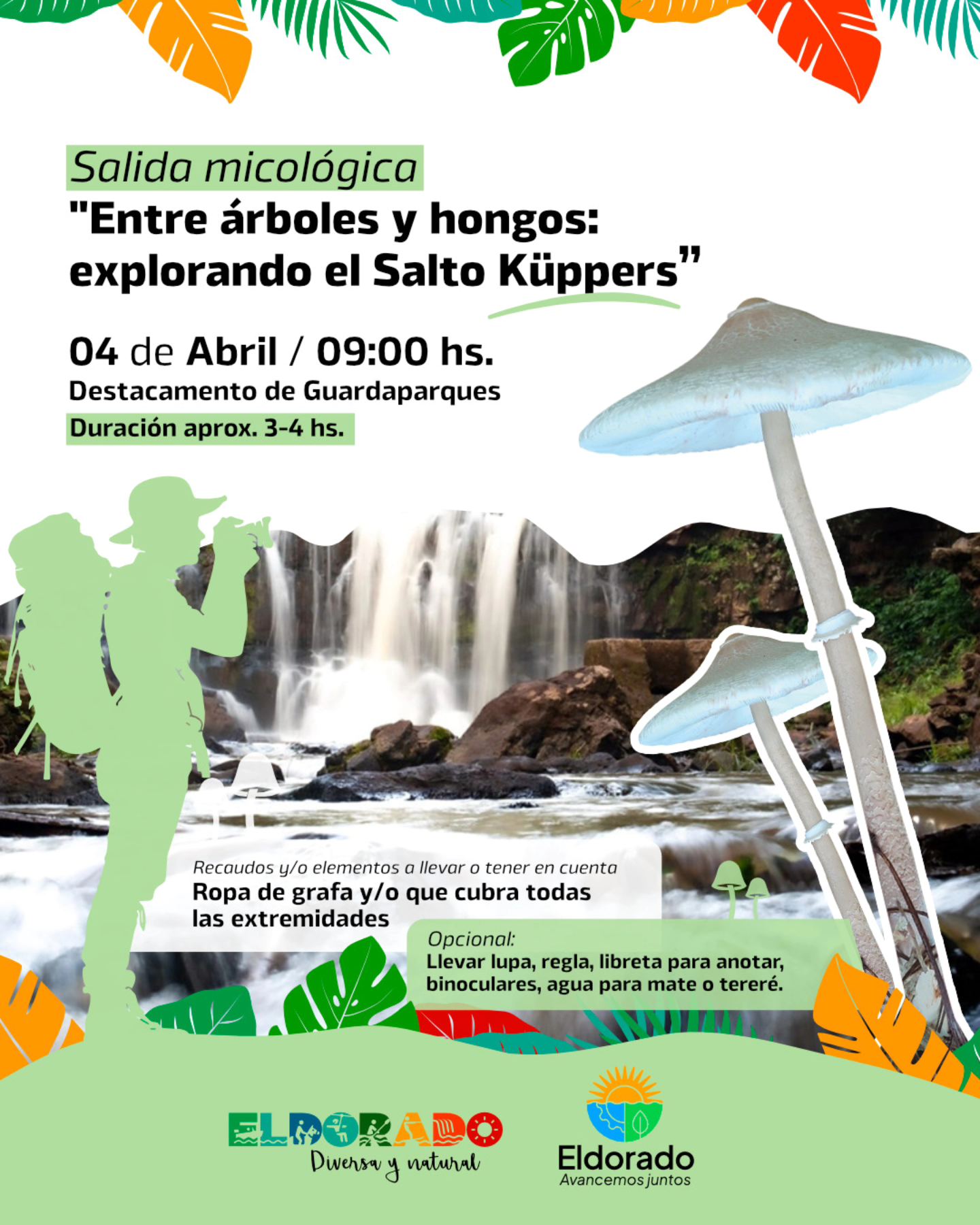 Proponen una jornada para conocer la diversidad de hongos en el Salto Küppers 2